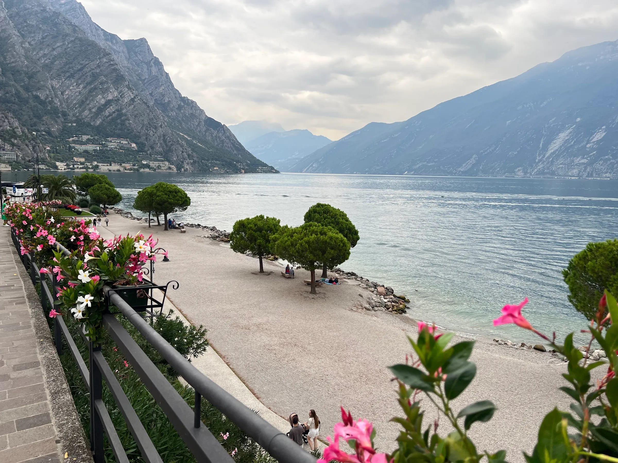 Lakeside promenade with mountains and flowering trees